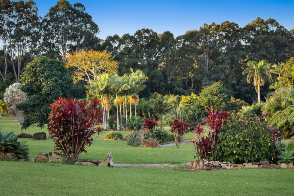 Sold - 149 The Manse Road - New Property in Myocum - Real Estate by McGrath 