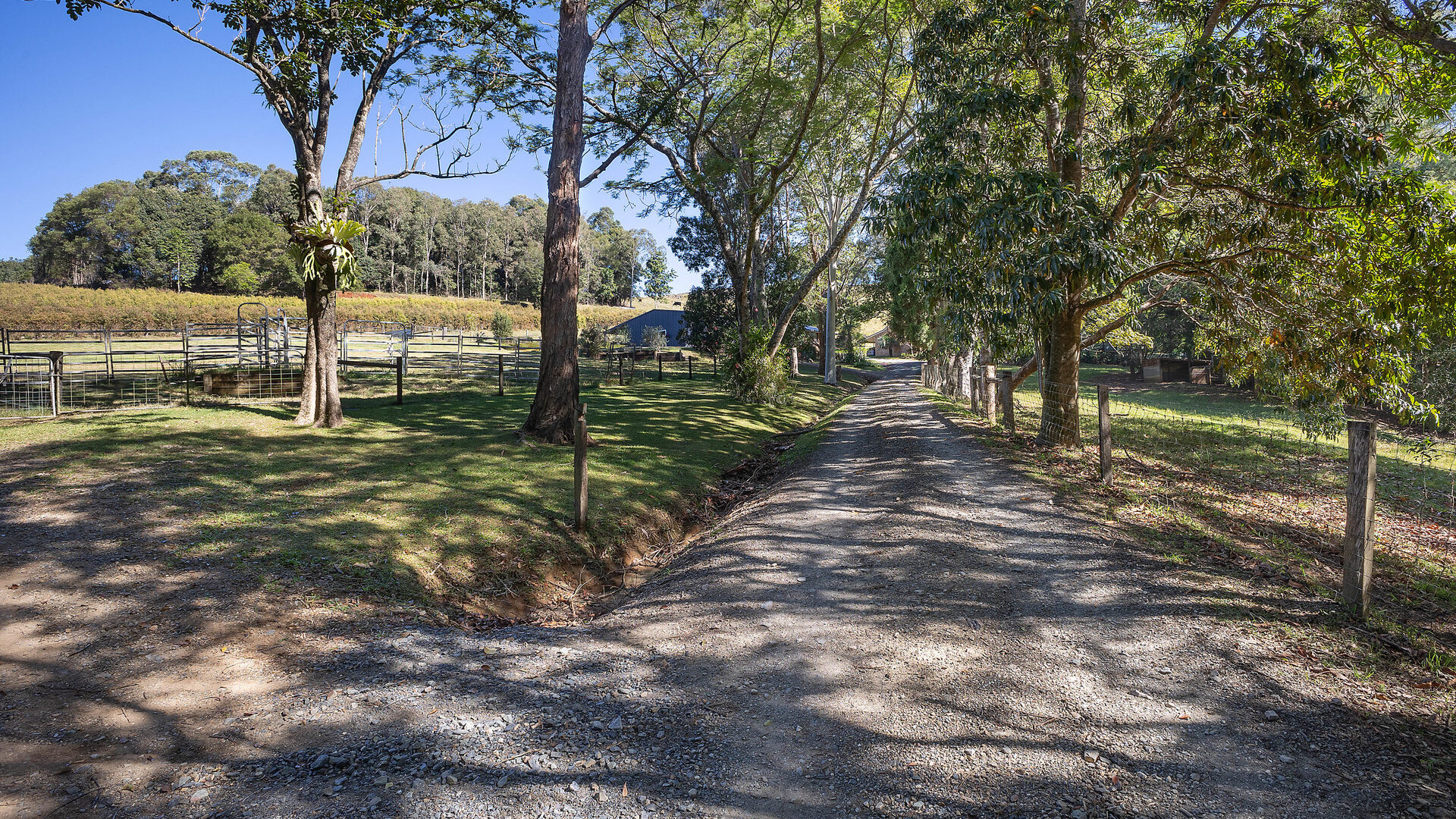 Sold - 143 Bartletts Lane - New Property in Meerschaum Vale - Real Estate by Bill Johnston