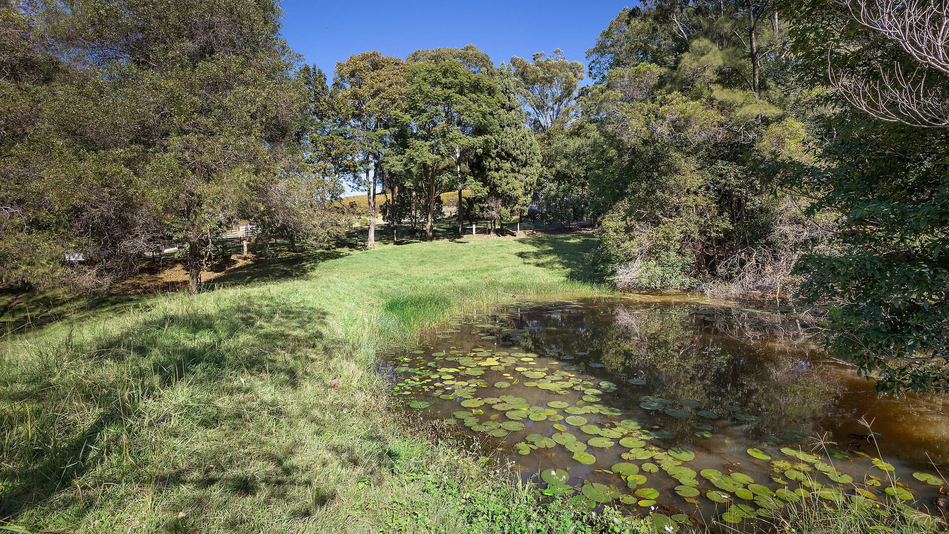 Sold - 143 Bartletts Lane - New Property in Meerschaum Vale - Real Estate by Bill Johnston