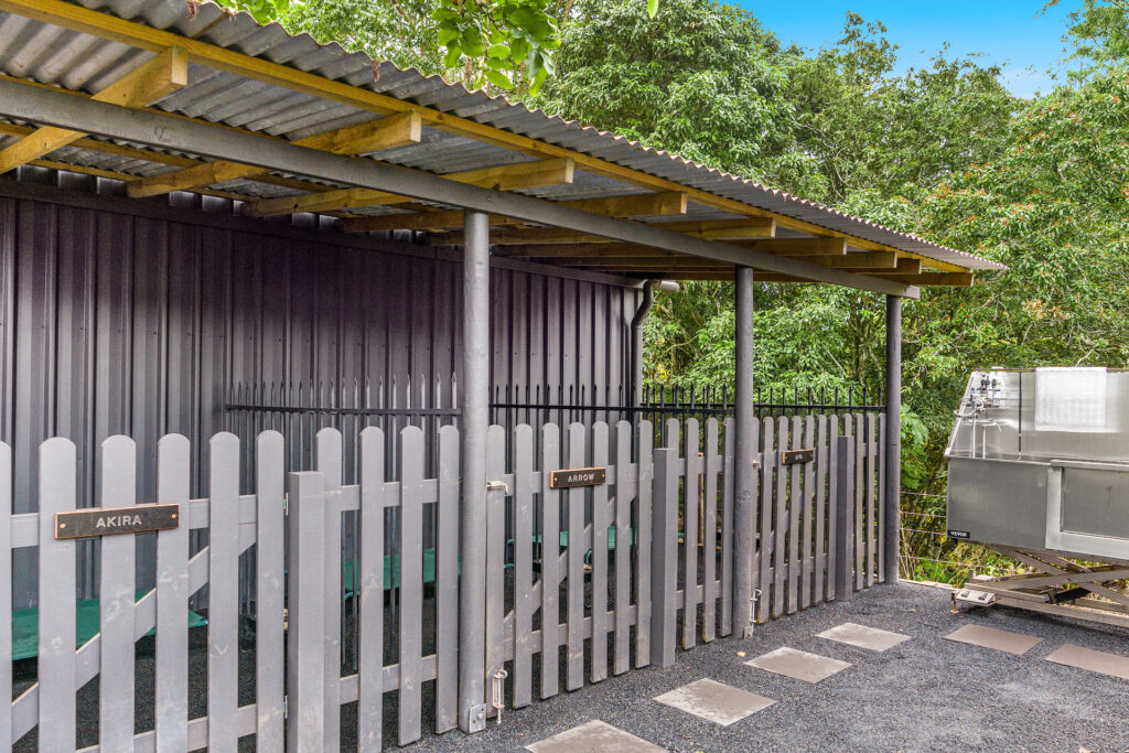 Sold - 680 Cawongla Road - New Property in Larnook - Real Estate by Heidi Last
