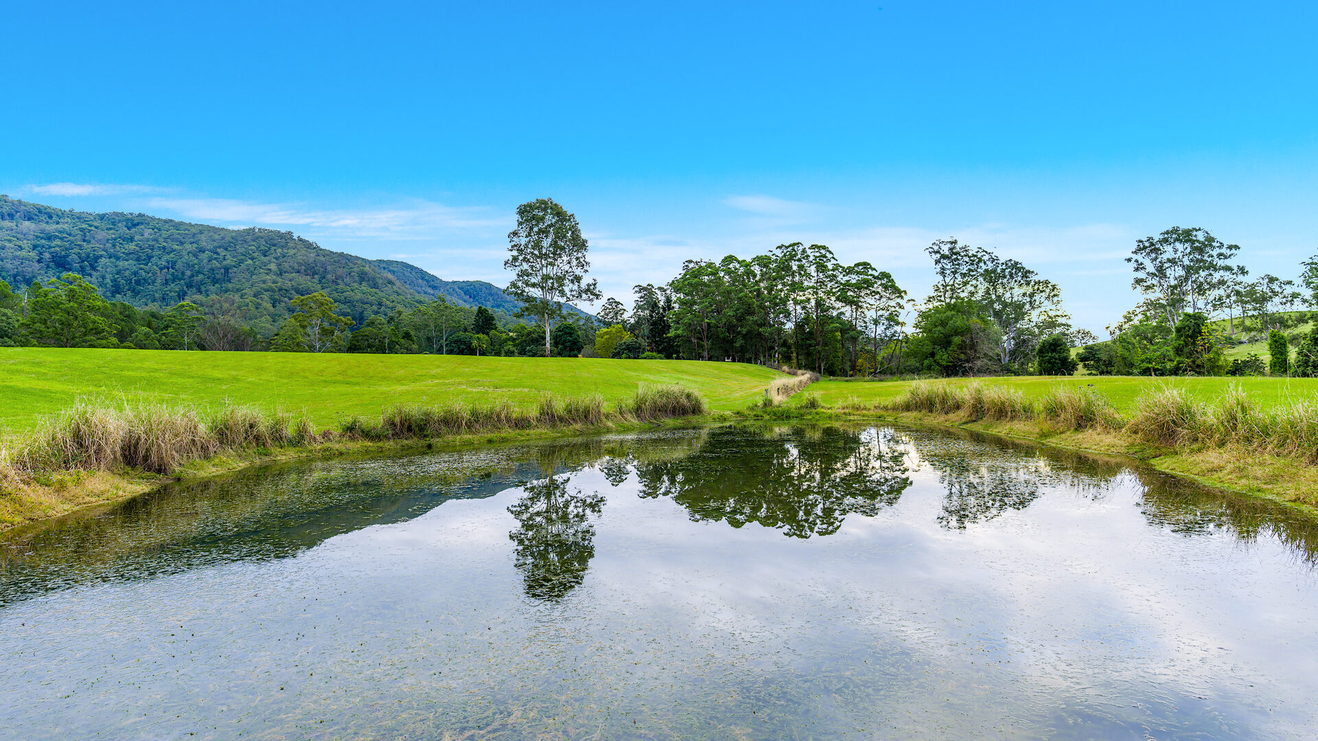 Sold - 680 Cawongla Road - New Property in Larnook - Real Estate by Heidi Last