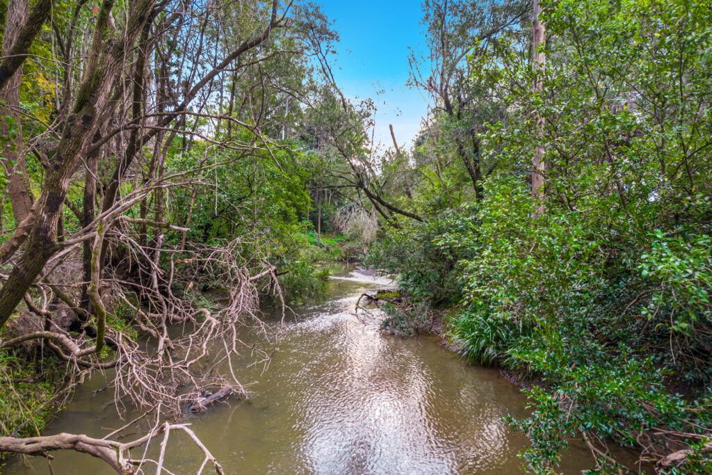 Sold - 680 Cawongla Road - New Property in Larnook - Real Estate by Heidi Last