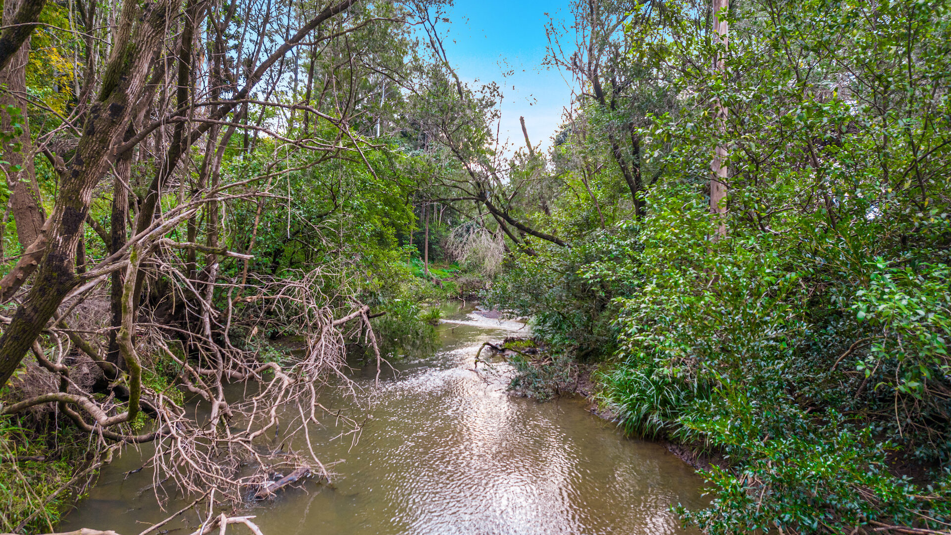 Sold - 680 Cawongla Road - New Property in Larnook - Real Estate by Heidi Last