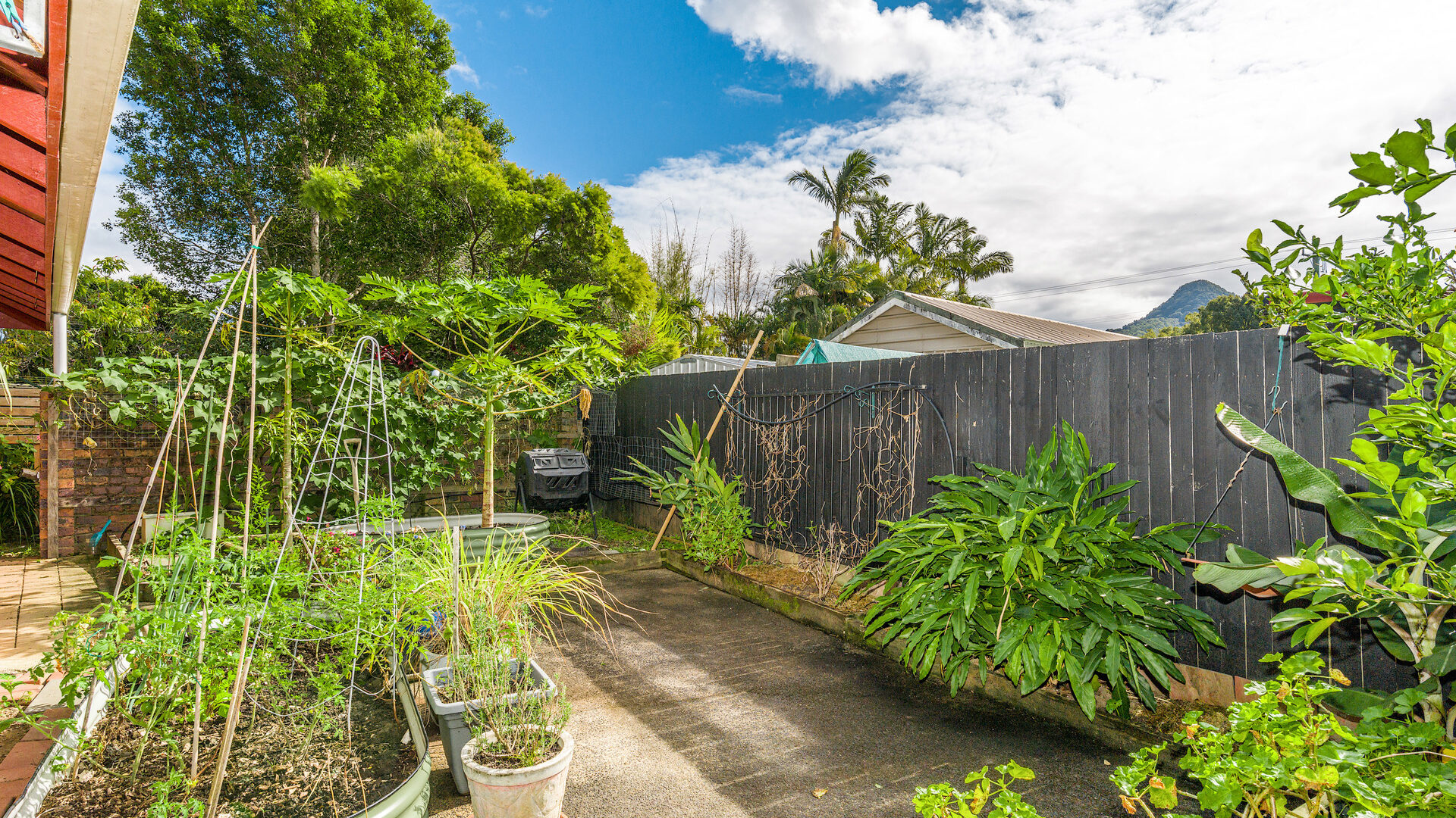 Sold - 10 Banksia Place - New Property in Mullumbimby - Real Estate by Heidi Last