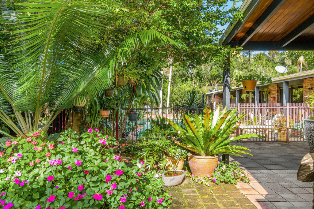 Sold - 10 Banksia Place - New Property in Mullumbimby - Real Estate by Heidi Last