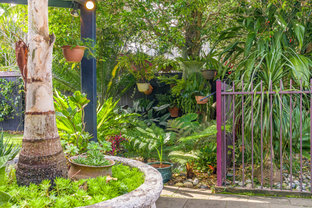 Sold - 10 Banksia Place - New Property in Mullumbimby - Real Estate by Heidi Last