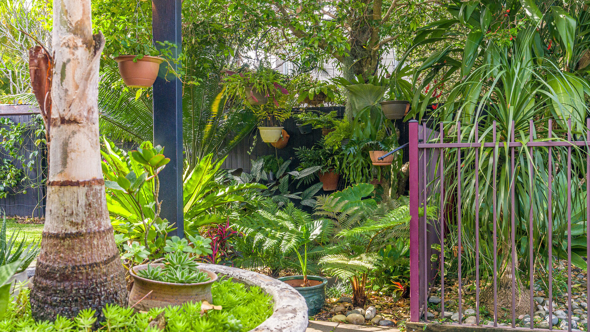 Sold - 10 Banksia Place - New Property in Mullumbimby - Real Estate by Heidi Last