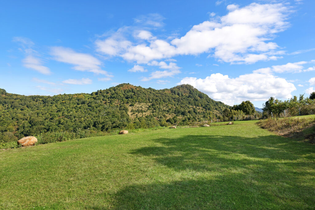 Sold - 170 Dudgeons Road - New Property in Mullumbimby - Real Estate by McGrath 
