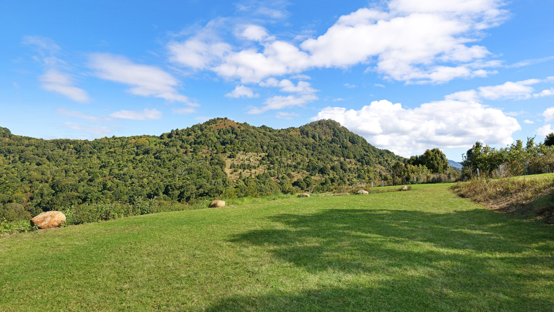 Sold - 170 Dudgeons Road - New Property in Mullumbimby - Real Estate by McGrath 
