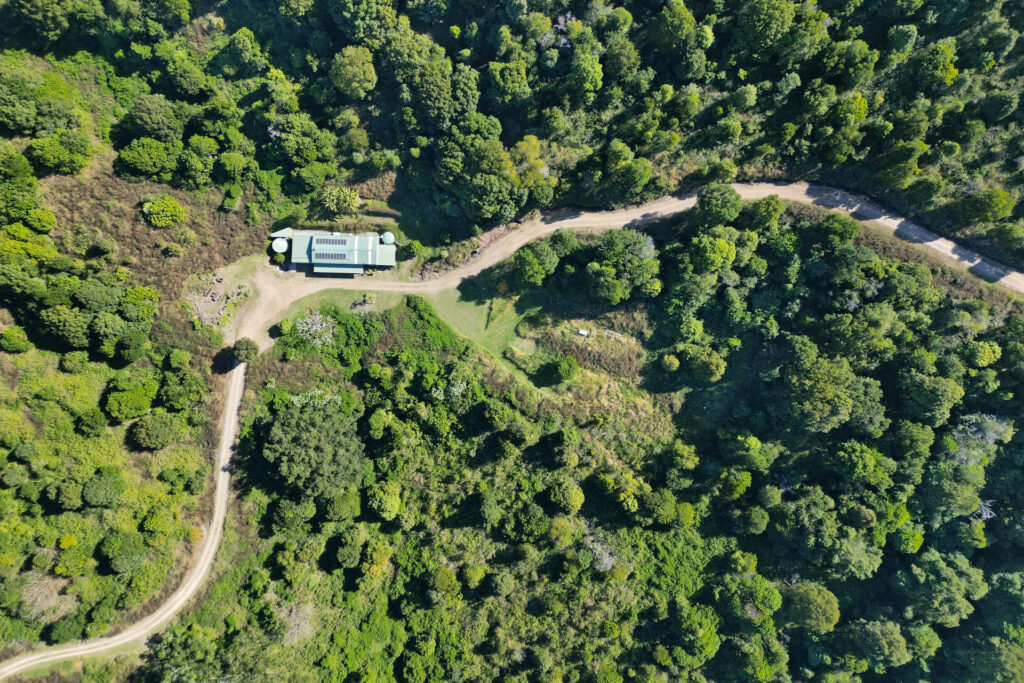 Sold - 170 Dudgeons Road - New Property in Mullumbimby - Real Estate by McGrath 