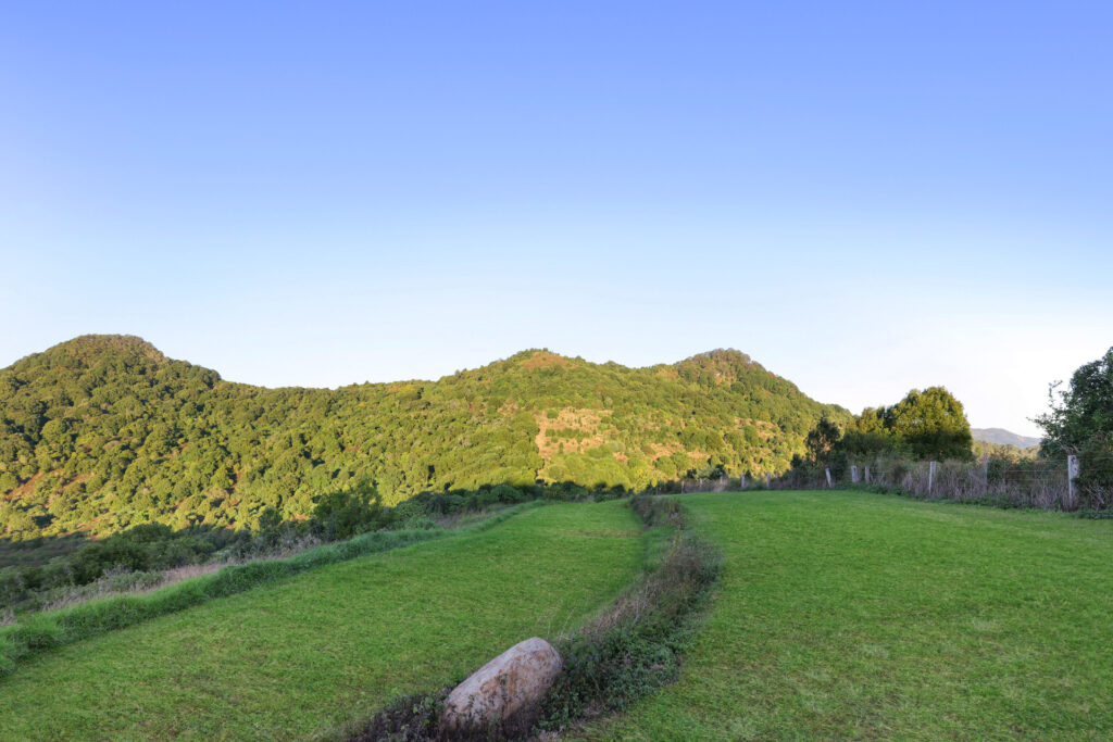 Sold - 170 Dudgeons Road - New Property in Mullumbimby - Real Estate by McGrath 