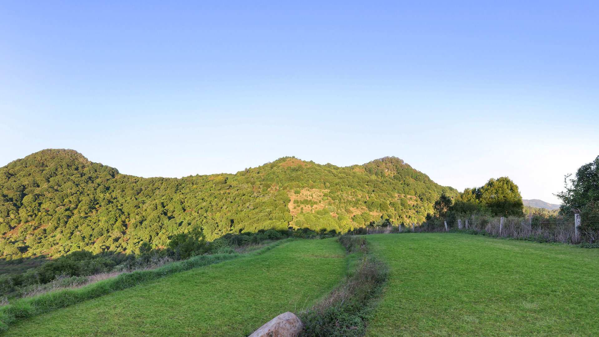 Sold - 170 Dudgeons Road - New Property in Mullumbimby - Real Estate by McGrath 