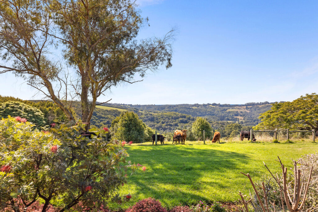 Sold - 573 Wardell Road - New Property in Dalwood - Real Estate by Bill Johnston