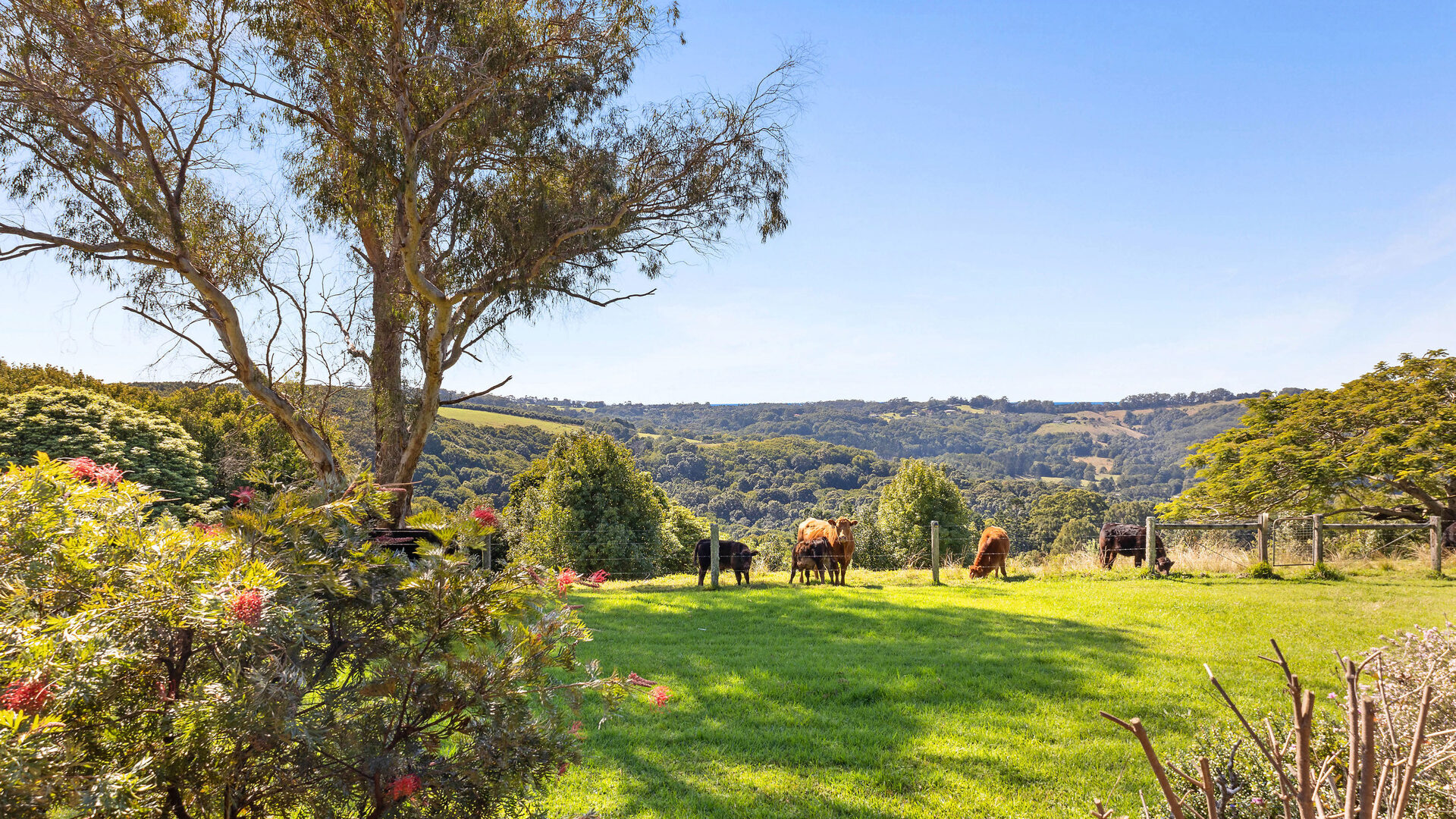 Sold - 573 Wardell Road - New Property in Dalwood - Real Estate by Bill Johnston