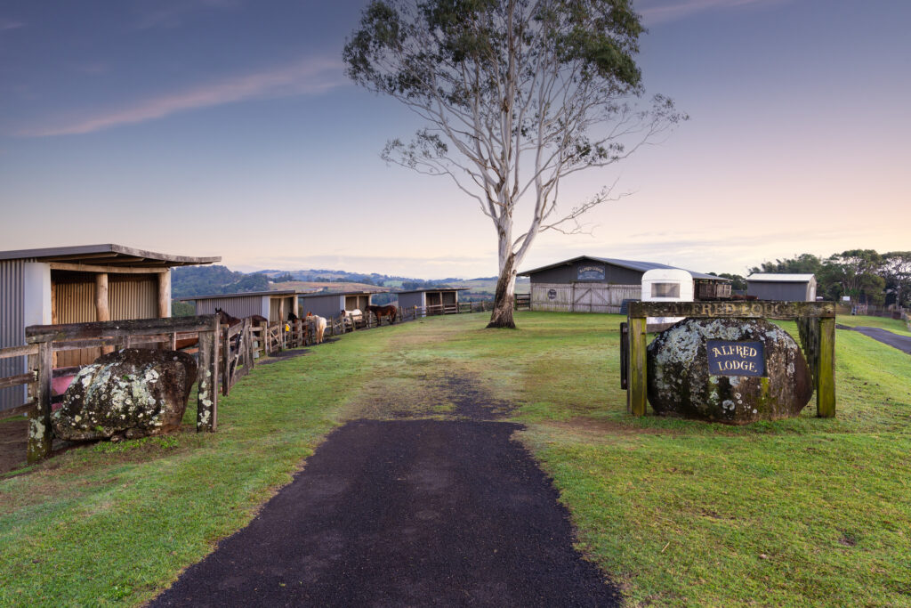 Sold - 426 Coopers Shoot Road - New Property in Coopers Shoot - Real Estate by Nick Dunn