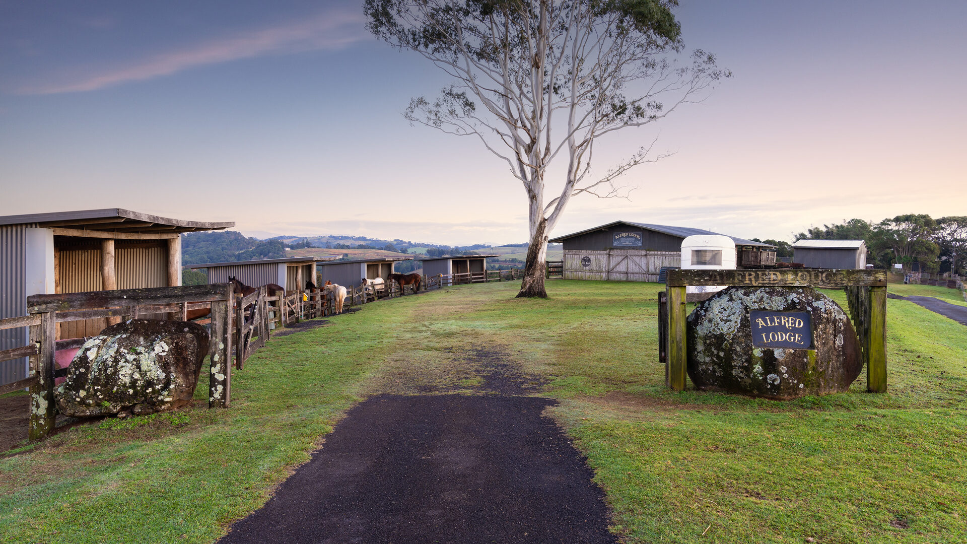 Sold - 426 Coopers Shoot Road - New Property in Coopers Shoot - Real Estate by Nick Dunn