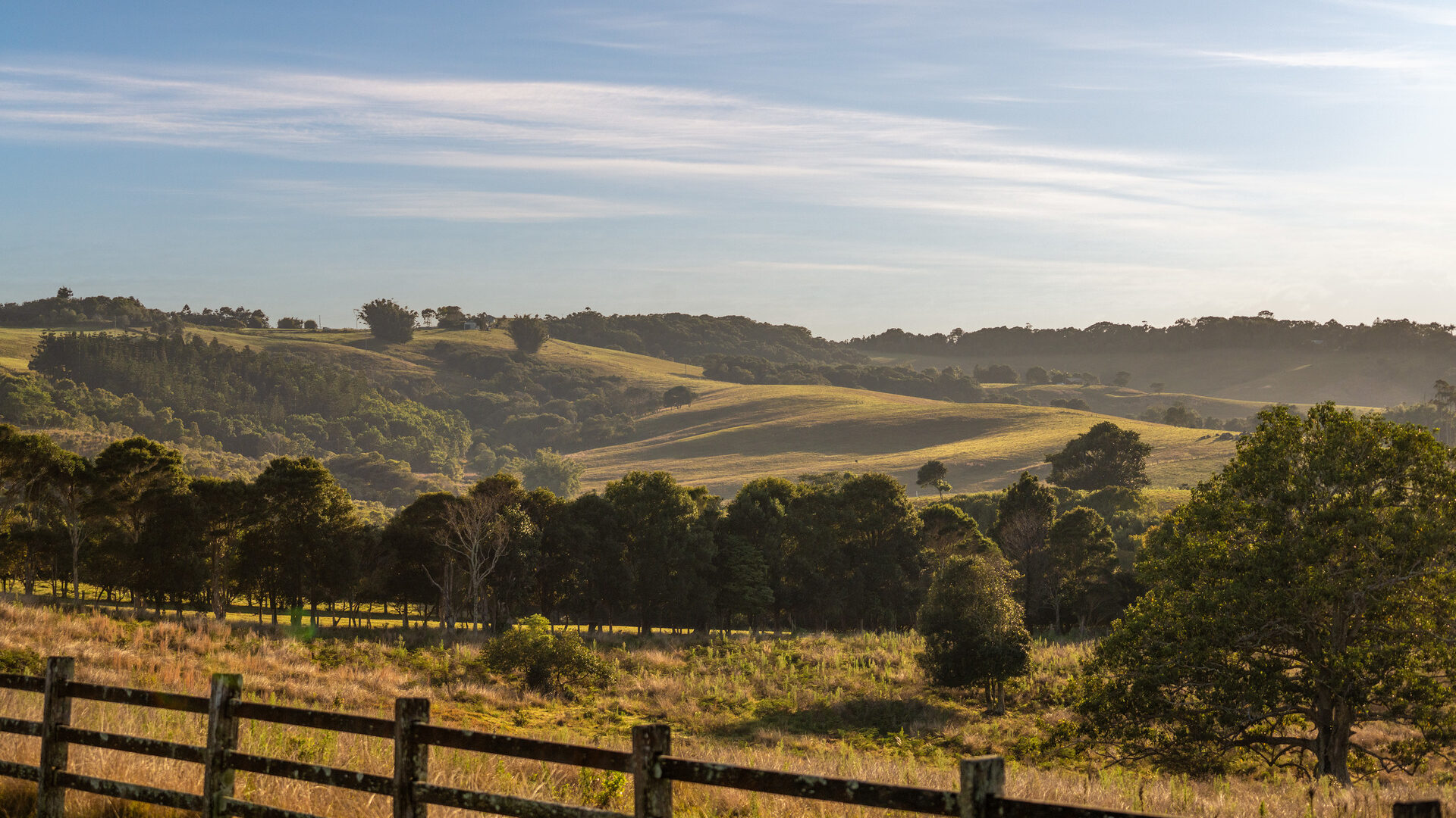 Sold - 426 Coopers Shoot Road - New Property in Coopers Shoot - Real Estate by Nick Dunn