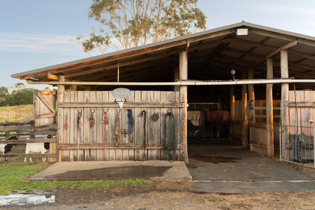 Sold - 426 Coopers Shoot Road - New Property in Coopers Shoot - Real Estate by Nick Dunn