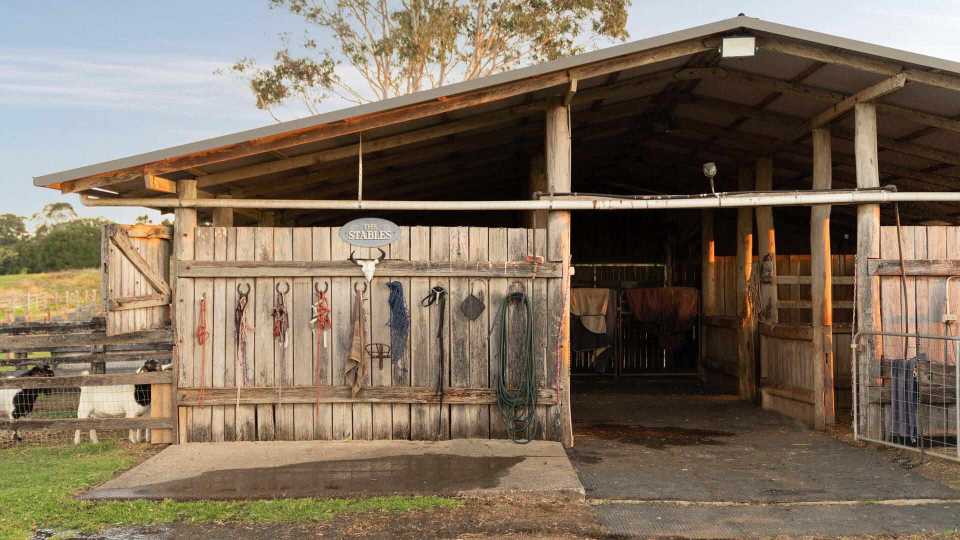 Sold - 426 Coopers Shoot Road - New Property in Coopers Shoot - Real Estate by Nick Dunn