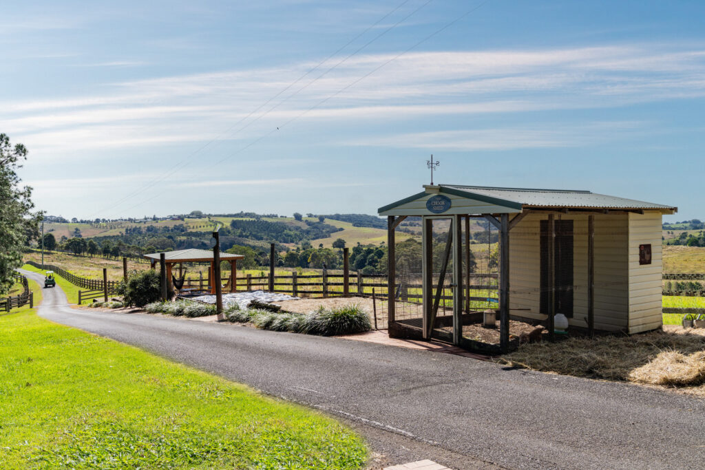 Sold - 426 Coopers Shoot Road - New Property in Coopers Shoot - Real Estate by Nick Dunn