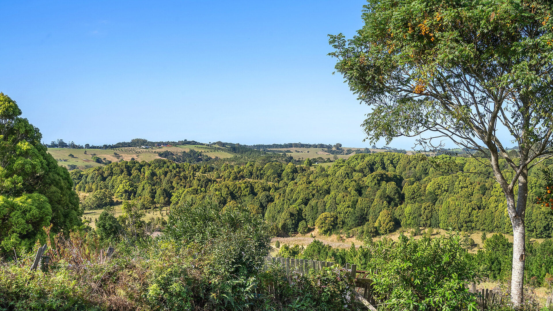 Sold - 542 Coopers Shoot Road - New Property in Coopers Shoot - Real Estate by Nick Dunn