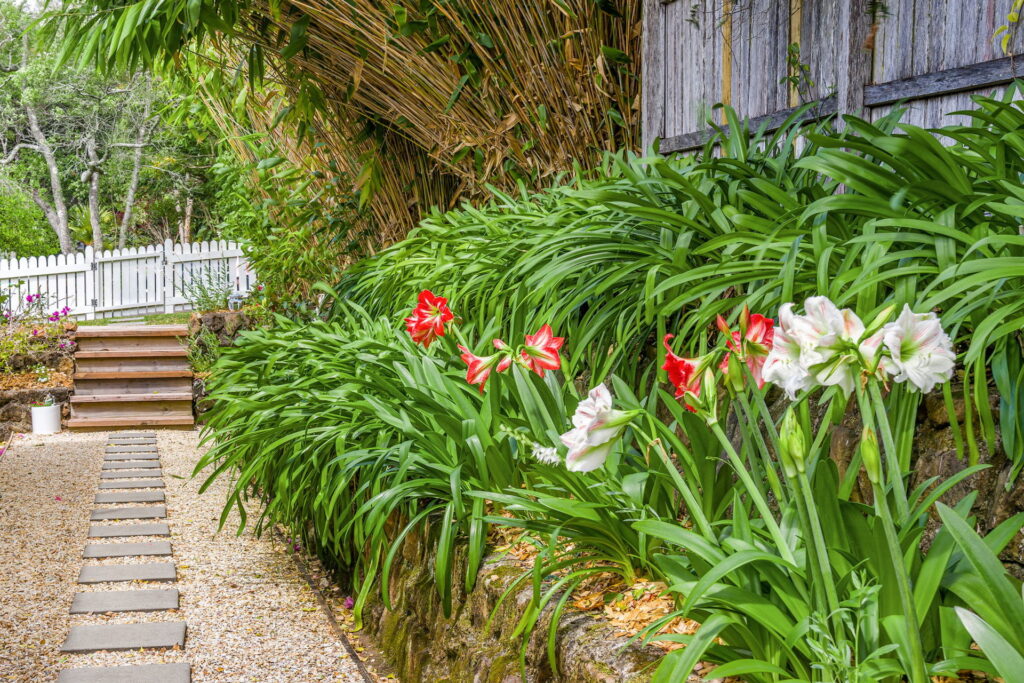 Sold - 5 Raftons Road - New Property in Bangalow - Real Estate by McGrath 