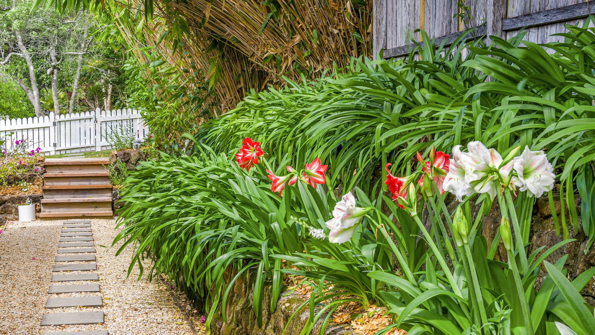 Sold - 5 Raftons Road - New Property in Bangalow - Real Estate by McGrath 