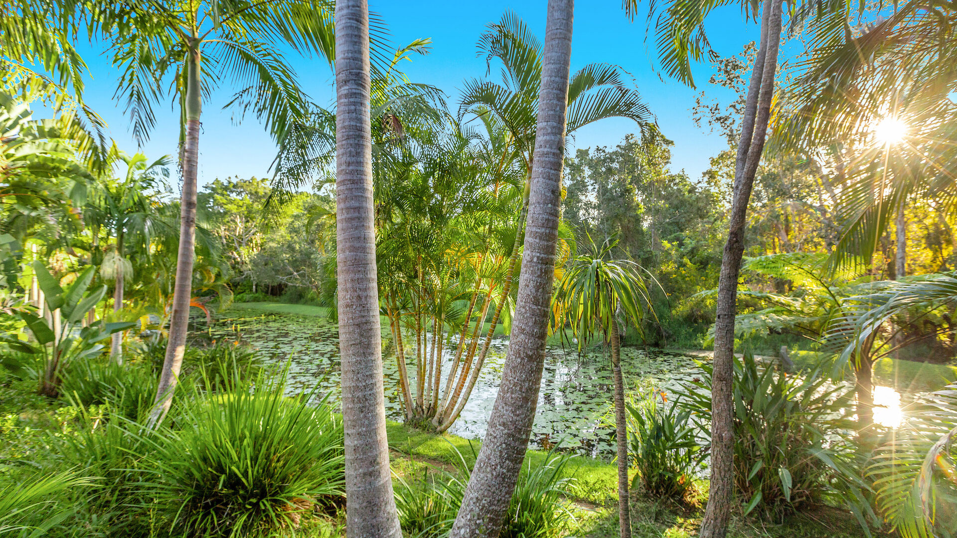 Sold - 26/5-7 Old Bangalow Road - New Property in Byron Bay - Real Estate by McGrath 