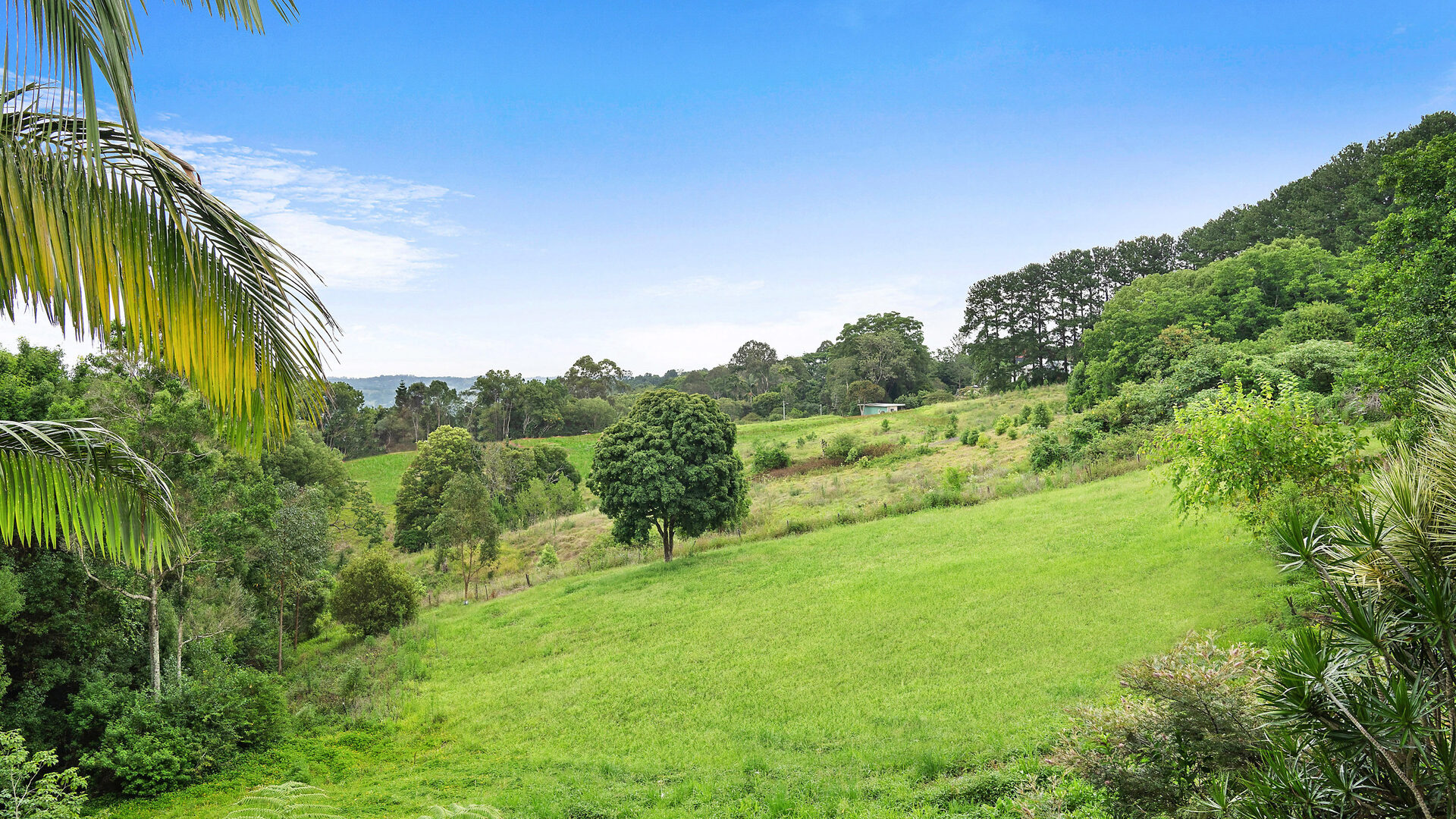 Sold - 5 Wickham Place - New Property in Clunes - Real Estate by Tezu Harrison