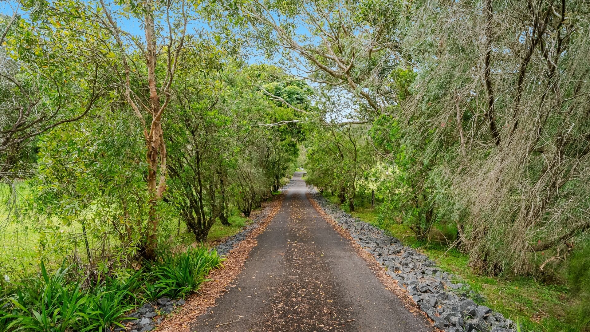 Sold - 755 Houghlahans Creek Road - New Property in Pearces Creek - Real Estate by Adriano Talone