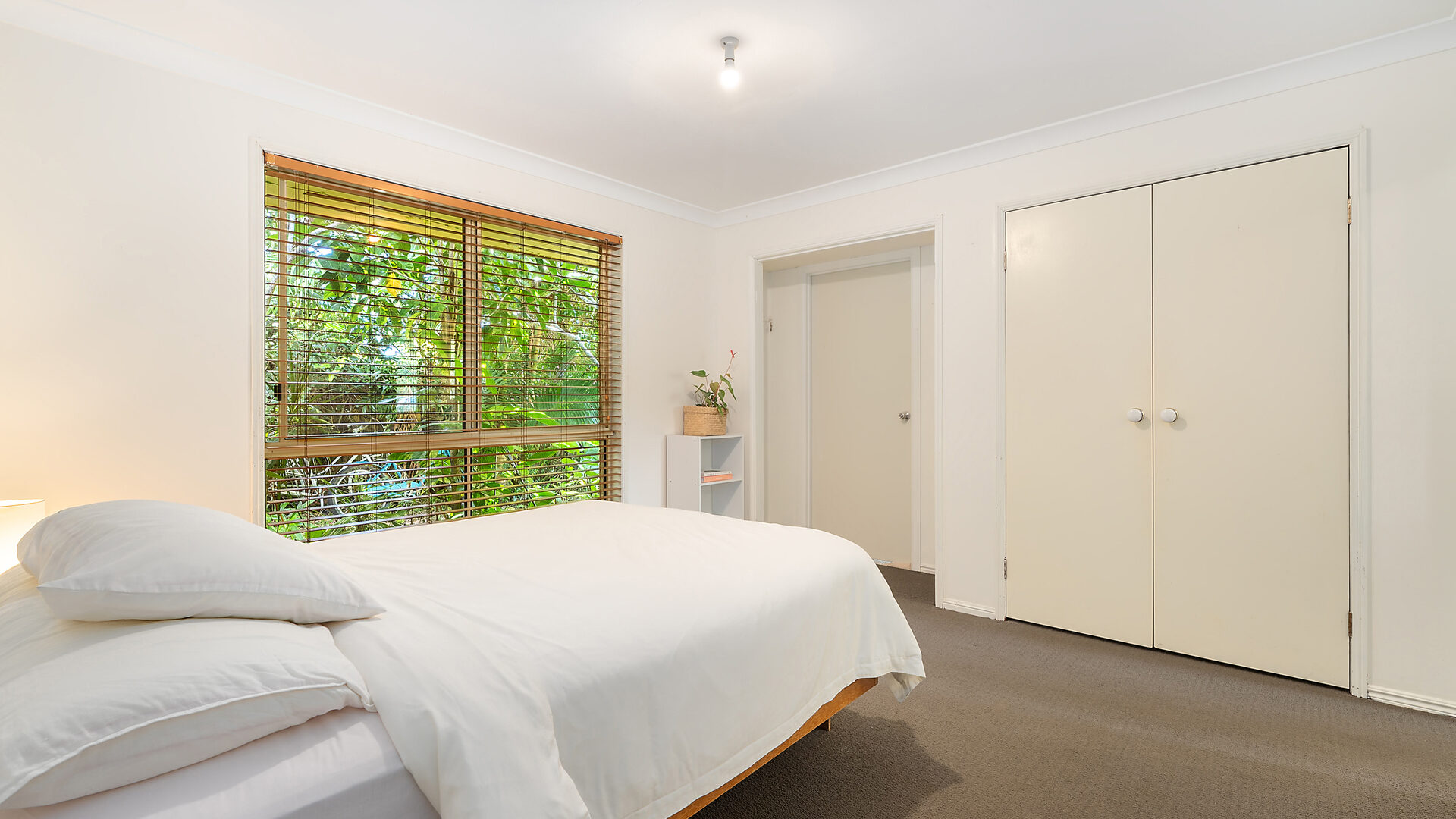 Sold - 38 Beech Drive - New Property in Suffolk Park - Real Estate by McGrath 
