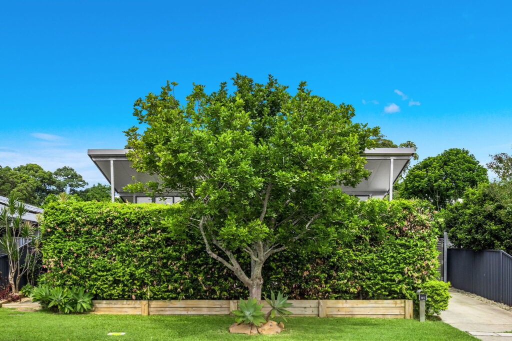 Sold - 61 Tuckeroo Avenue - New Property in Mullumbimby - Real Estate by Heidi Last