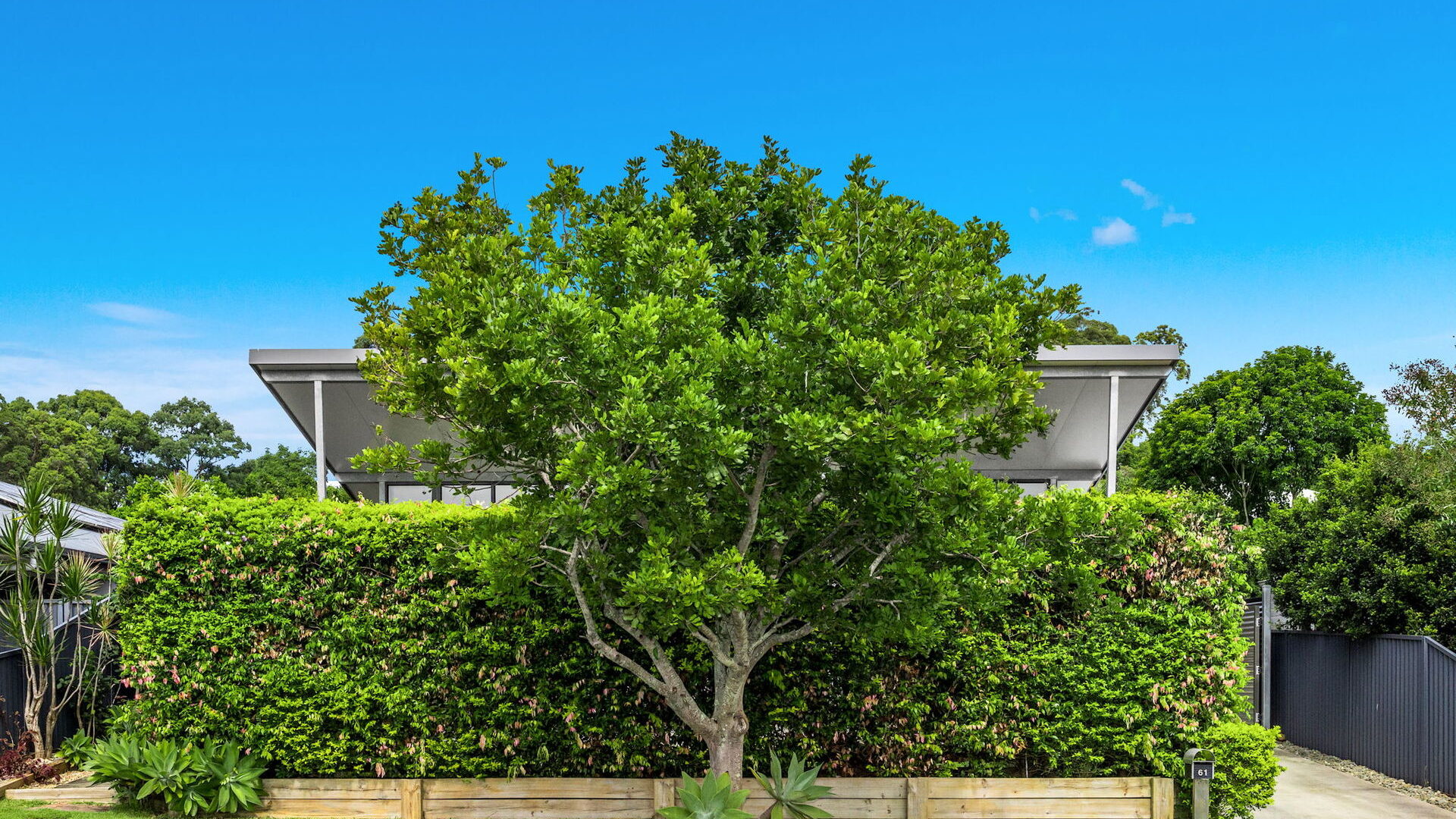 Sold - 61 Tuckeroo Avenue - New Property in Mullumbimby - Real Estate by Heidi Last