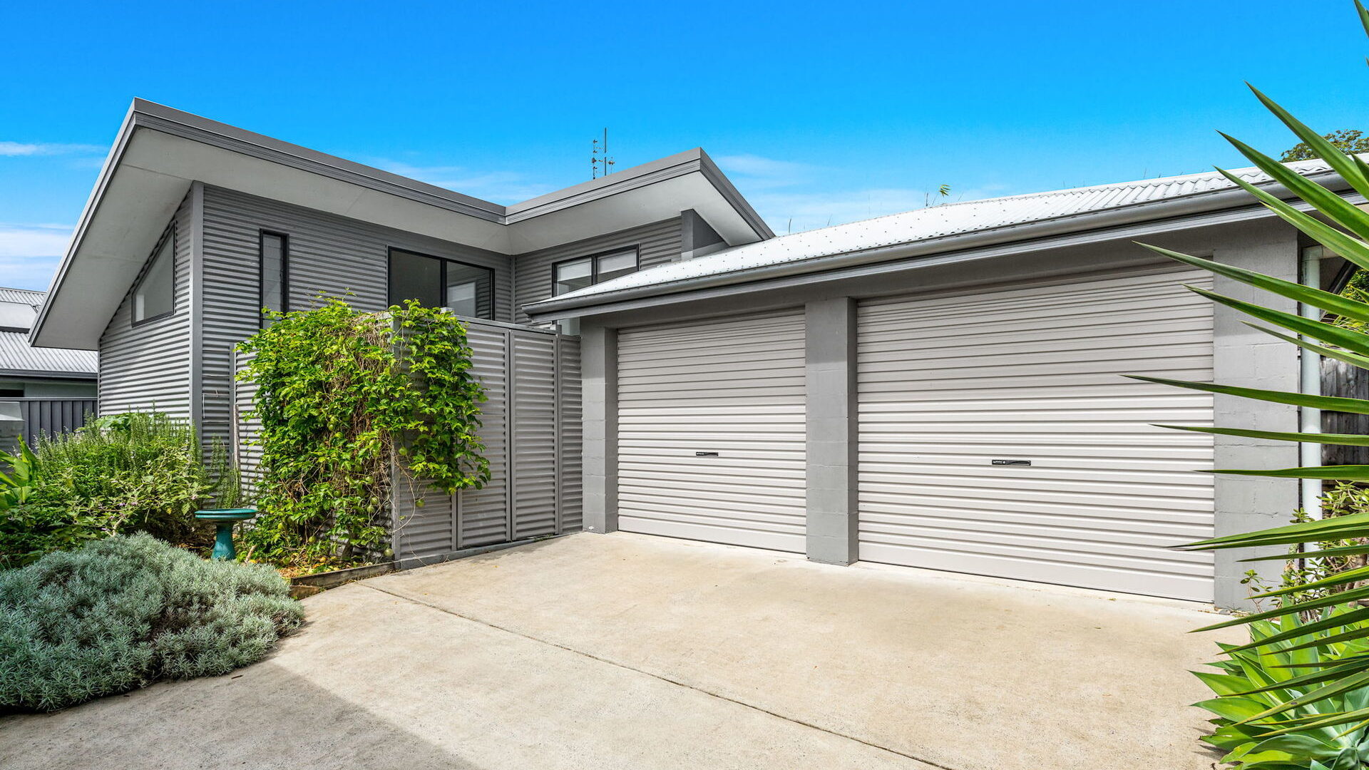 Sold - 61 Tuckeroo Avenue - New Property in Mullumbimby - Real Estate by Heidi Last