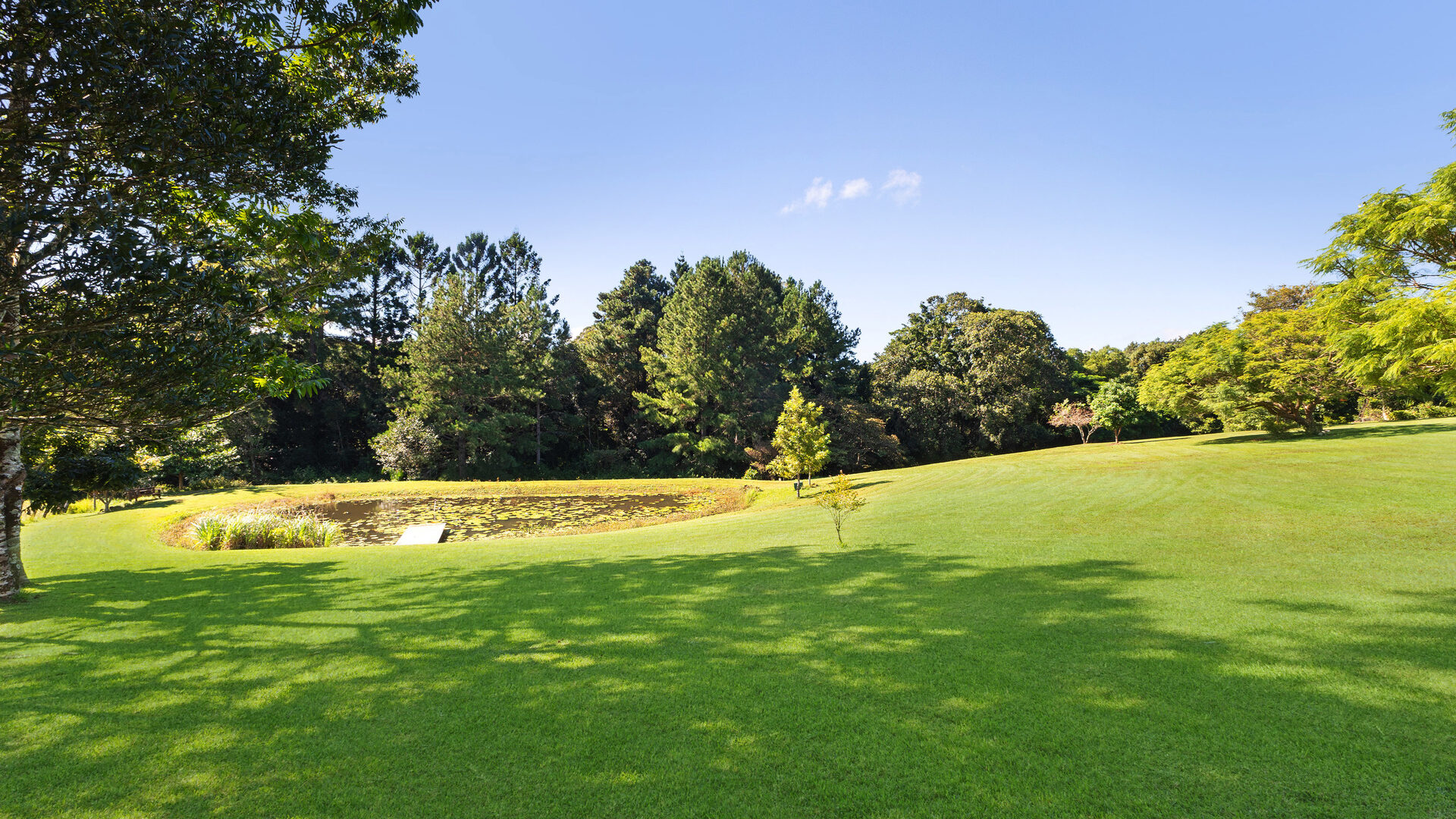Sold - 53 Sproule Drive - New Property in Alstonvale - Real Estate by Bill Johnston