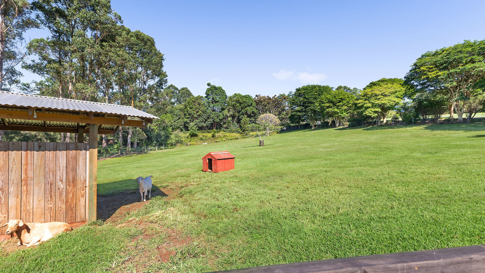Sold - 53 Sproule Drive - New Property in Alstonvale - Real Estate by Bill Johnston