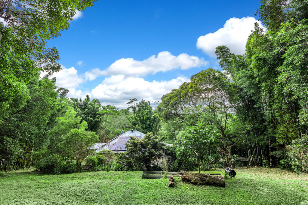 Sold - 69 Brushbox Drive - New Property in Mullumbimby Creek - Real Estate by Heidi Last