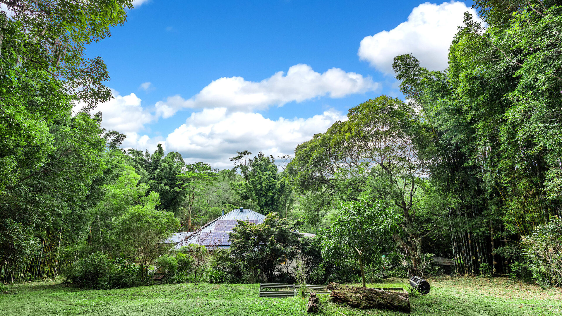 Sold - 69 Brushbox Drive - New Property in Mullumbimby Creek - Real Estate by Heidi Last