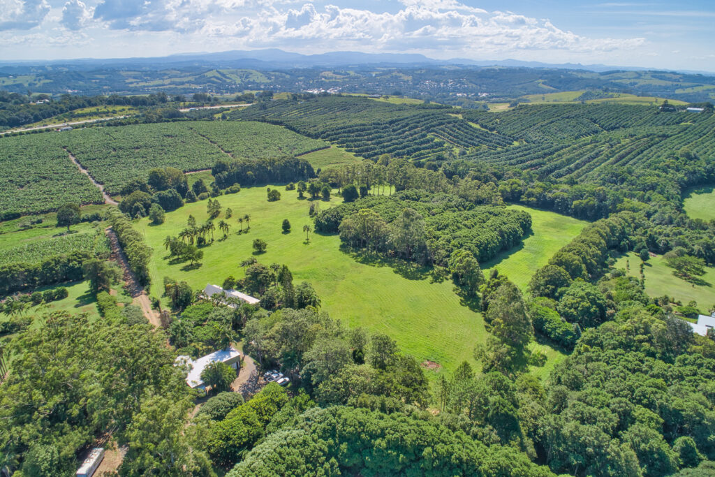 Sold - 163 Broken Head Road - New Property in Newrybar - Real Estate by Nick Dunn