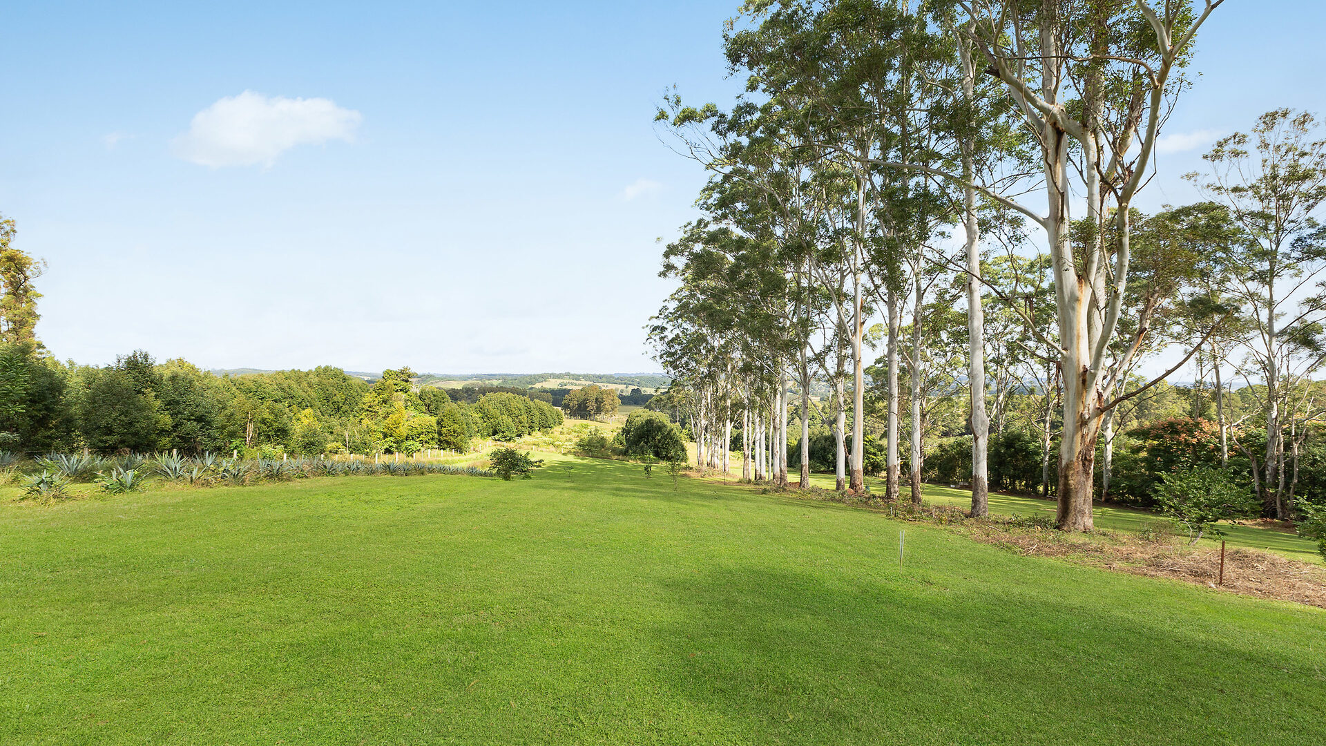 Sold - 137 Stewarts Road - New Property in Clunes - Real Estate by Bill Johnston