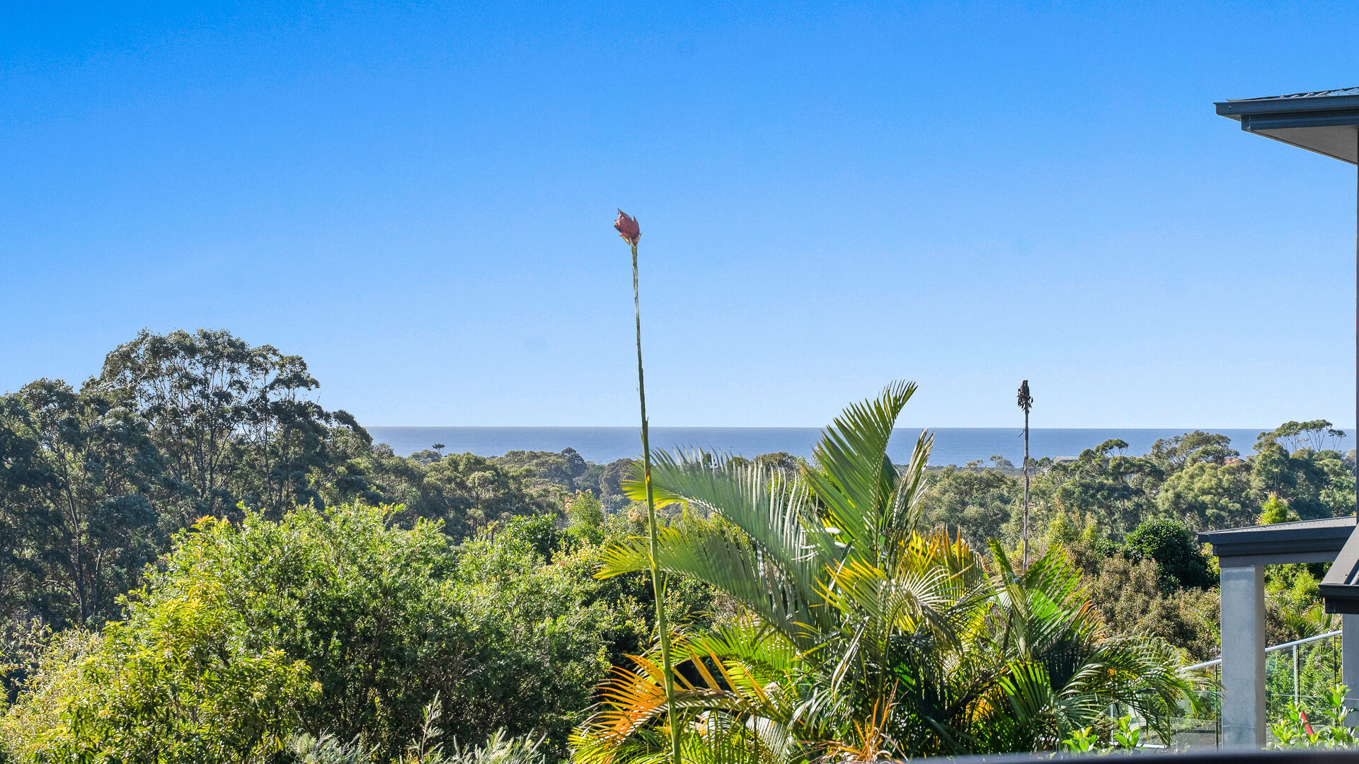 Sold - 3 Hoop Pine Lane - New Property in Suffolk Park - Real Estate by Nick Dunn