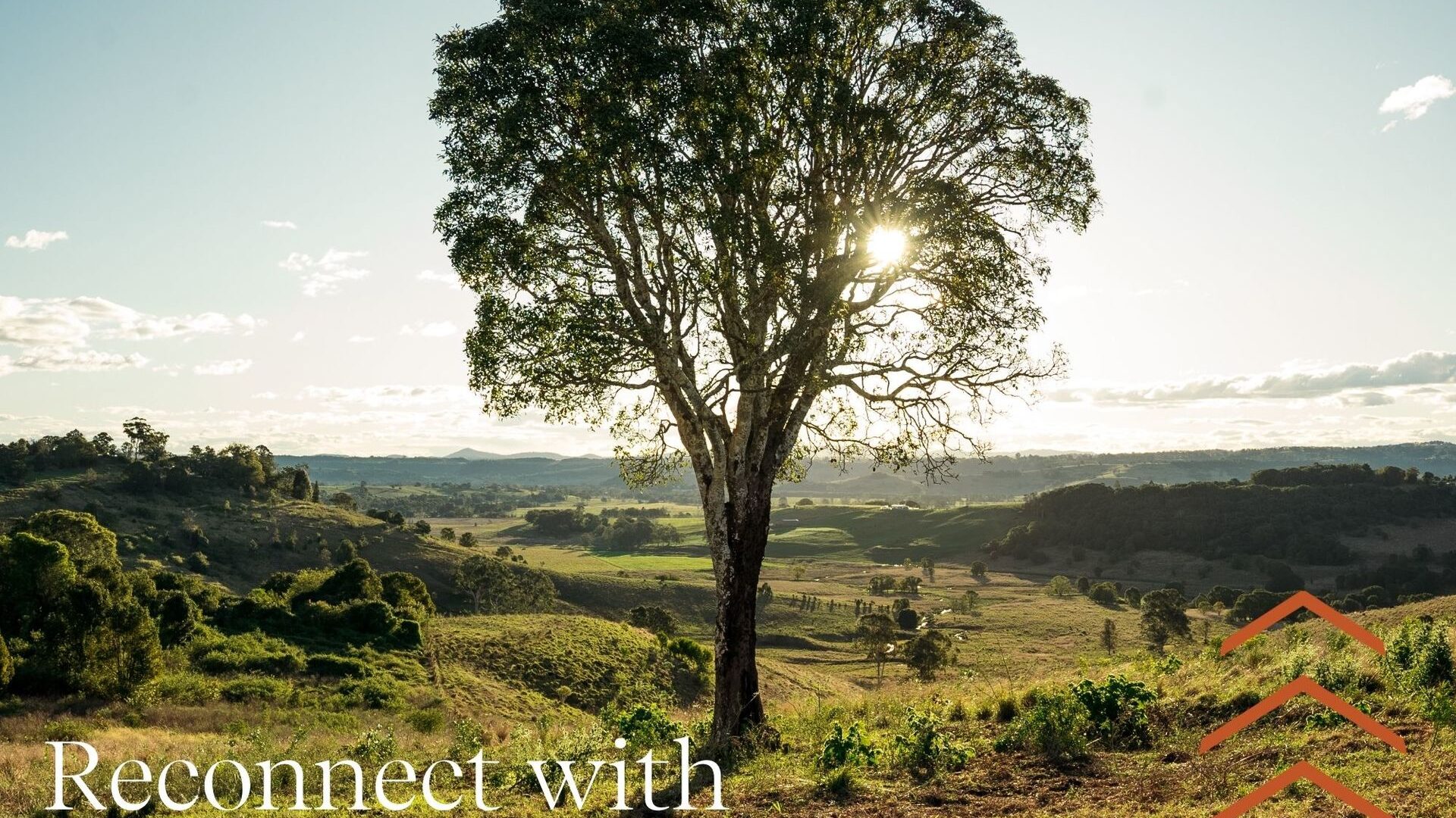 Sold - 97 Pineapple Road - New Property in Goonellabah - Real Estate by Max Mulcahy