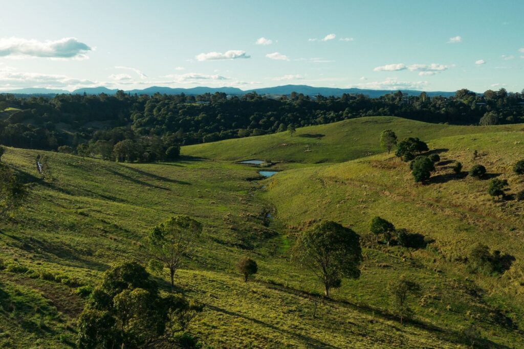 Sold - 97 Pineapple Road - New Property in Goonellabah - Real Estate by Max Mulcahy