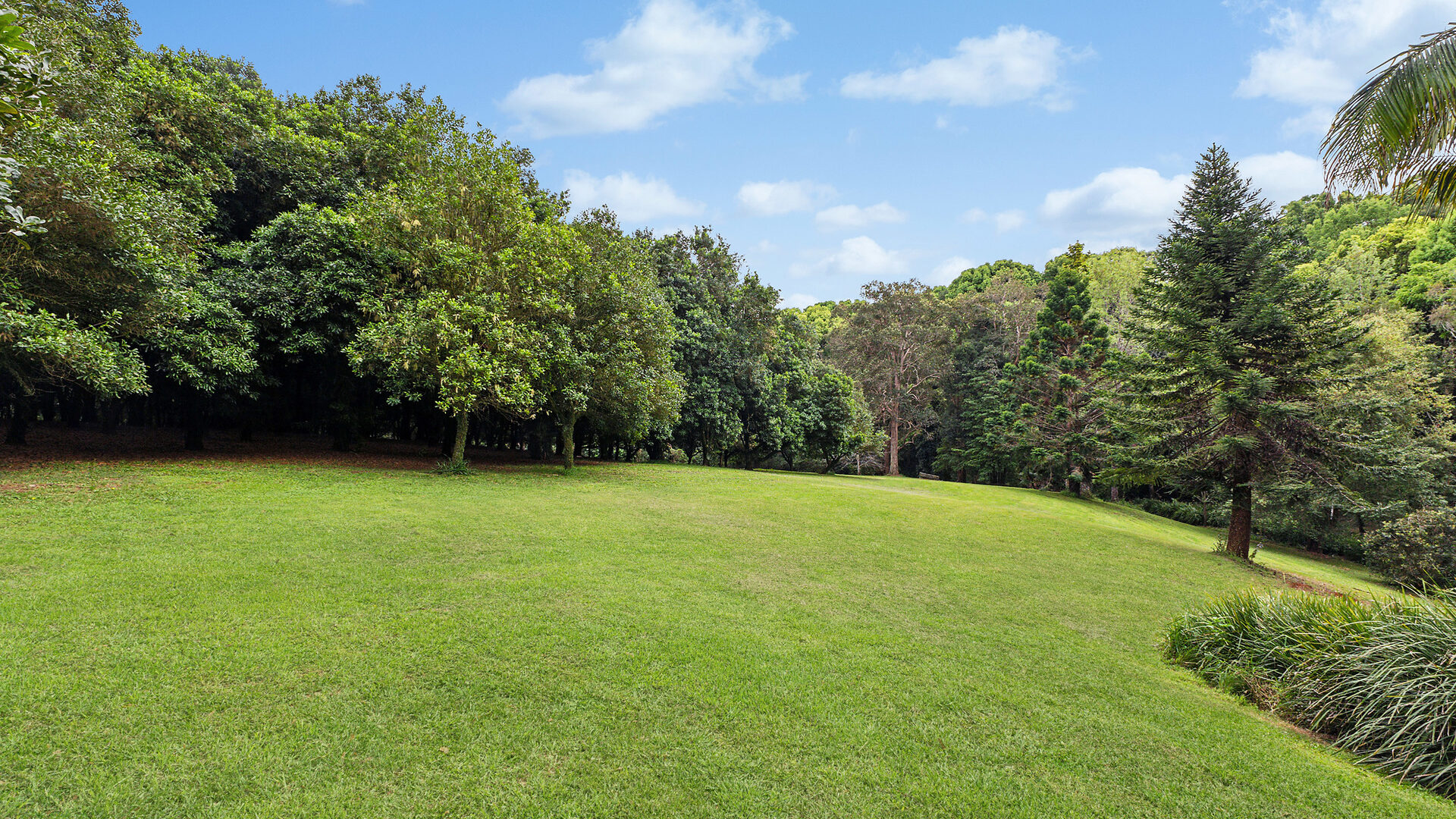 Sold - 120 Alstonvale Road - New Property in Alstonvale - Real Estate by Bill Johnston