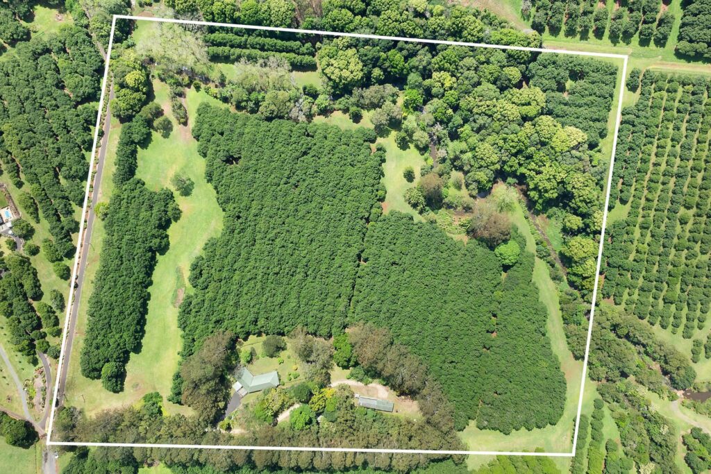 Sold - 120 Alstonvale Road - New Property in Alstonvale - Real Estate by Bill Johnston