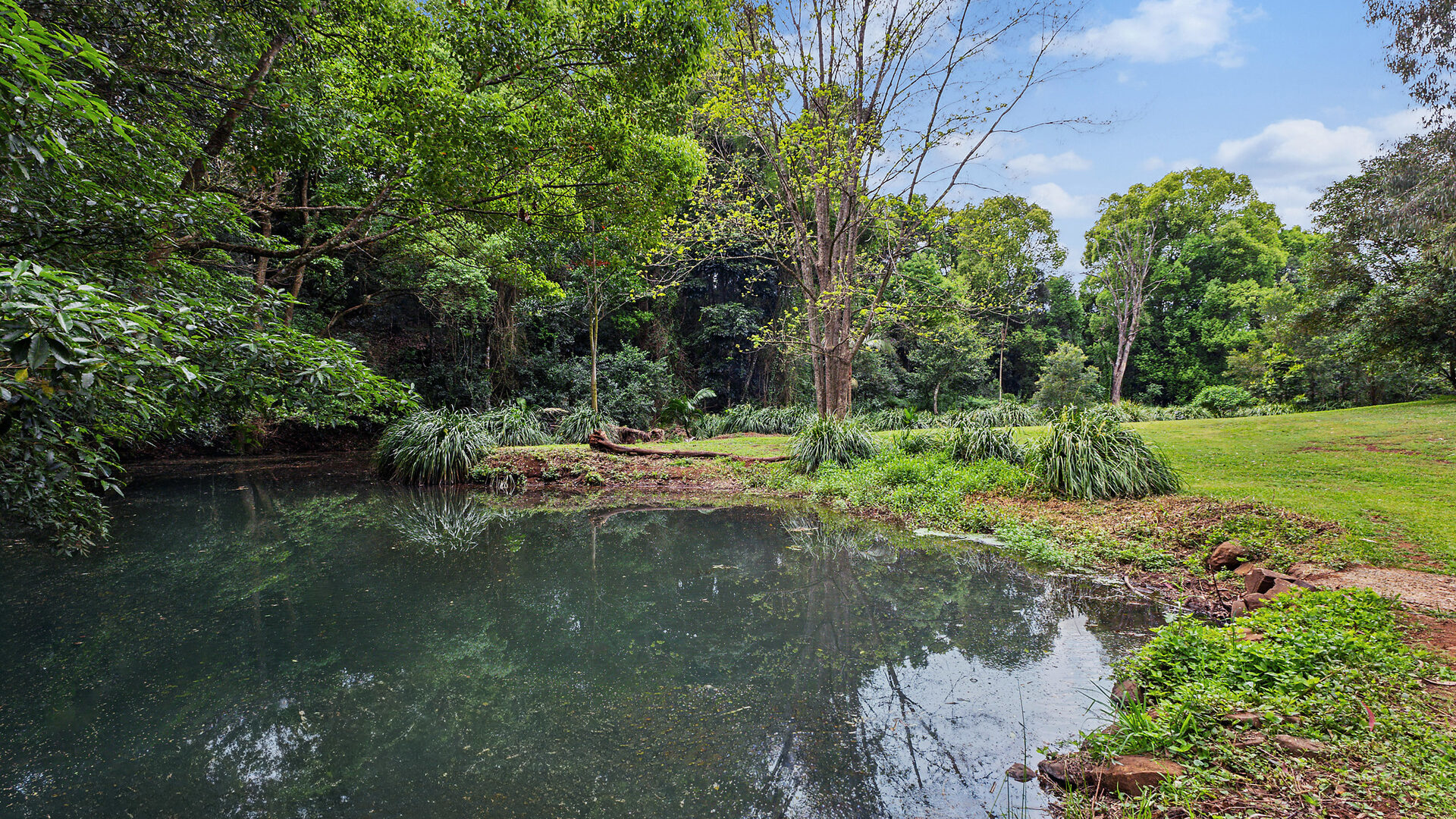 Sold - 120 Alstonvale Road - New Property in Alstonvale - Real Estate by Bill Johnston