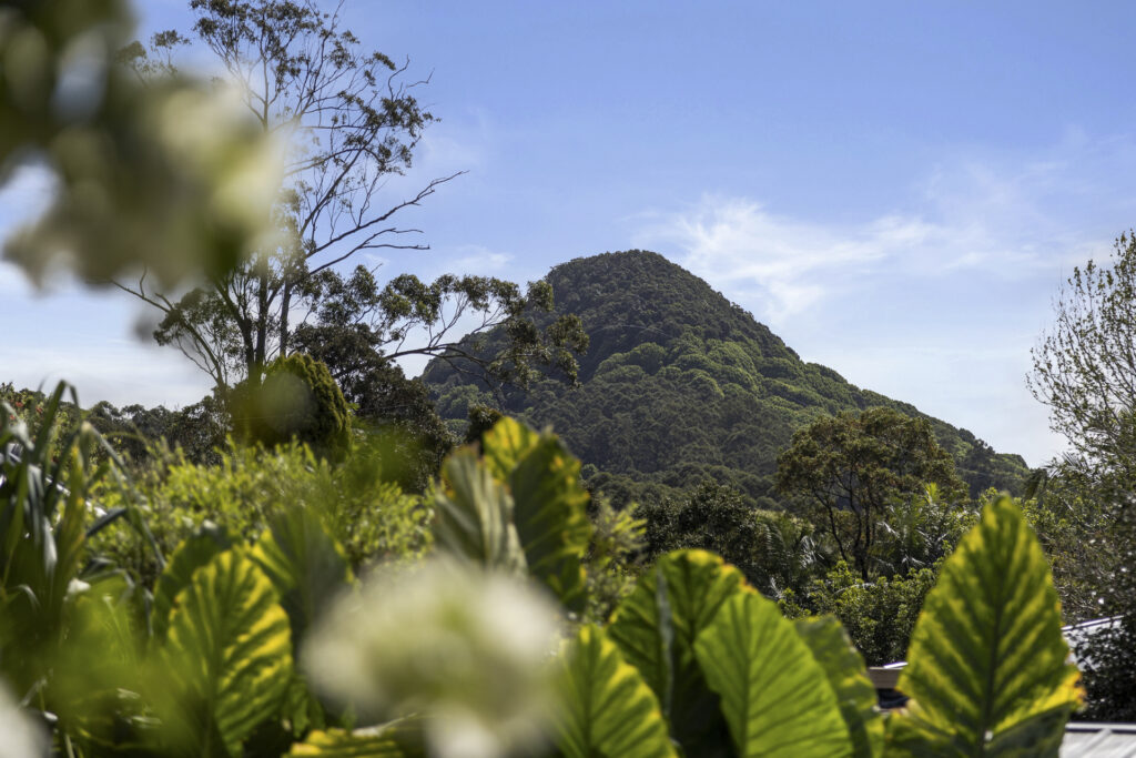 Sold - 47 Main Arm Road - New Property in Mullumbimby - Real Estate by Tezu Harrison