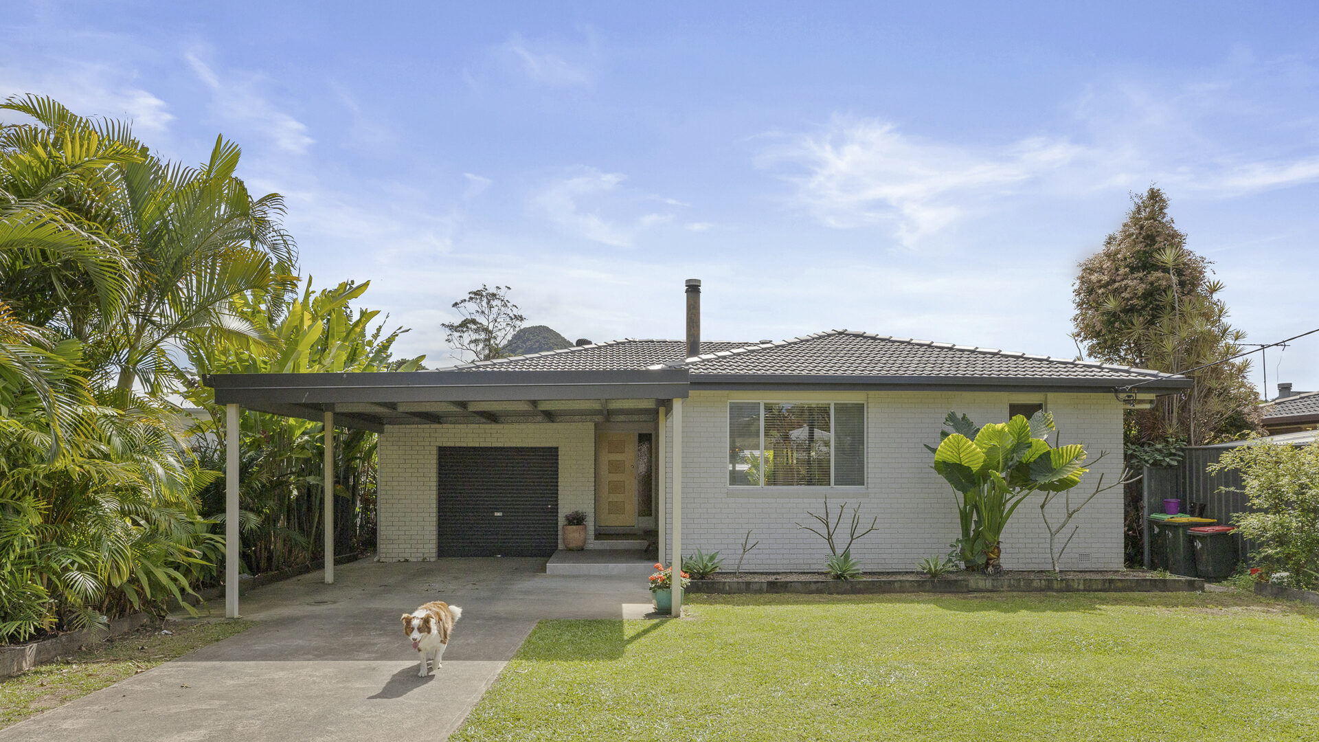 Sold - 47 Main Arm Road - New Property in Mullumbimby - Real Estate by Tezu Harrison