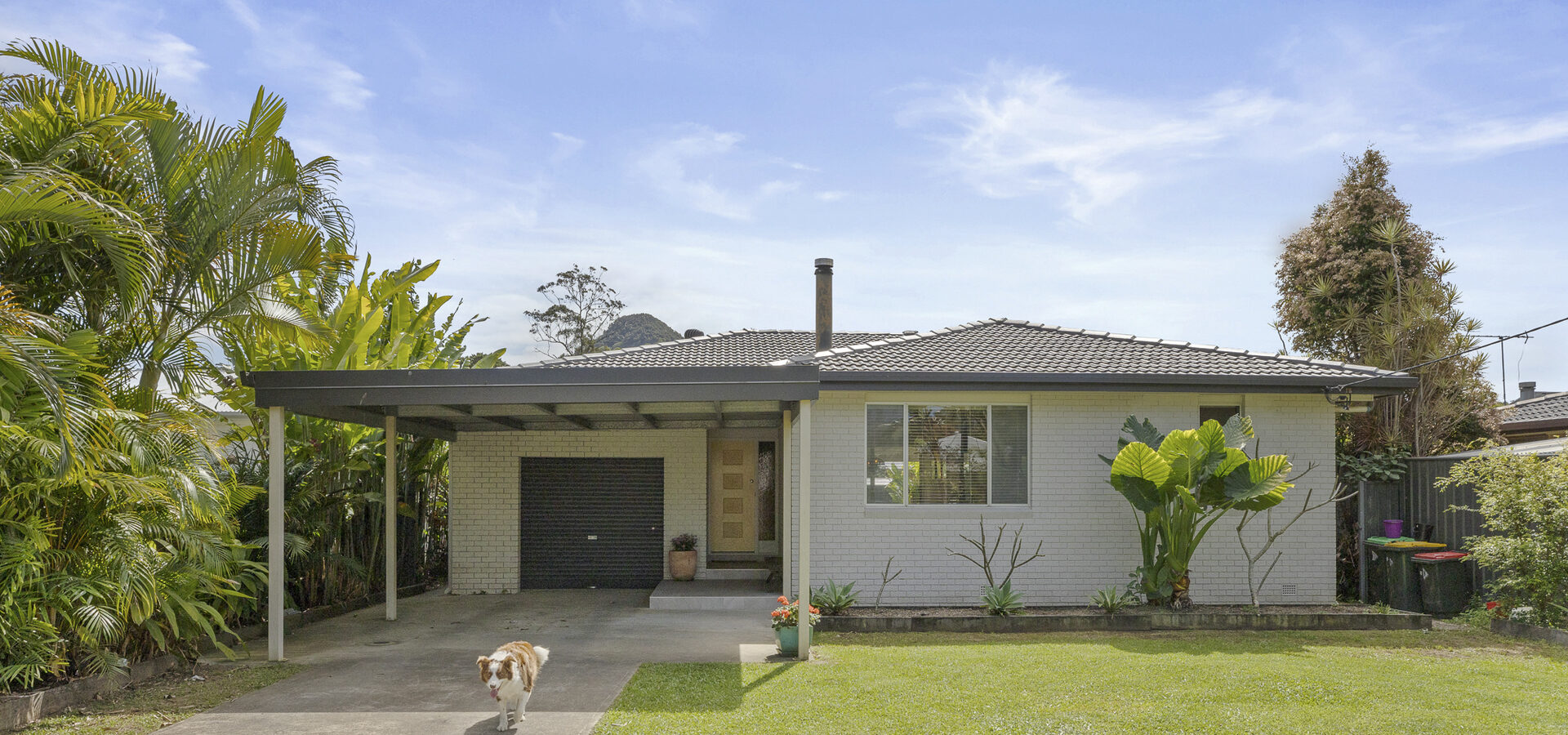 Sold - 47 Main Arm Road - New Property in Mullumbimby - Real Estate by Tezu Harrison