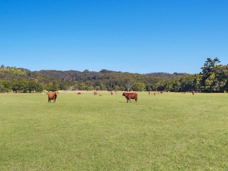 Sold - 142 Bartletts Lane - New Property in MEERSCHAUM VALE - Real Estate by Bill Johnston